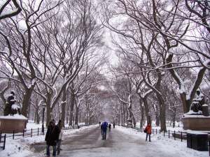 The Promenade in Central Park